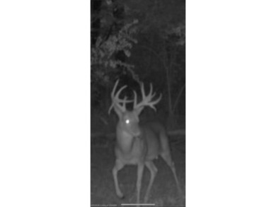 Looking for space, privacy, and a property with endless