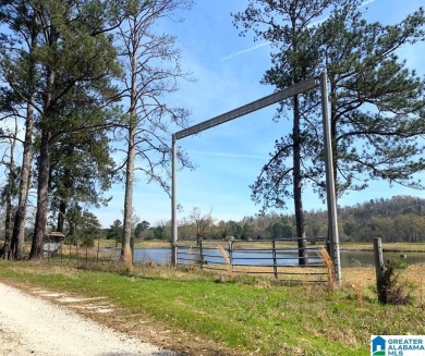 (private lake, pond, creek) Acreage For Sale in Ohatchee Alabama
