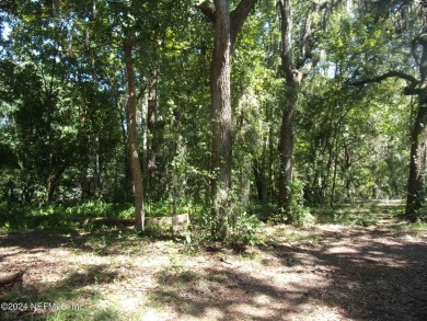 Lake Lot For Sale in Palatka, Florida