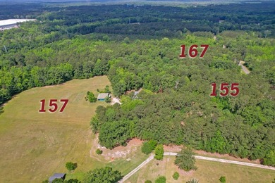 28.27 acres in Summerville! Set on 28.27 acres across three - photo 16