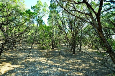 Welcome to Dancing Bear Ranch and this 1.63-acre lot with - photo 17
