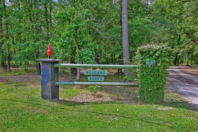 28.27 acres in Summerville! Set on 28.27 acres across three - photo 18