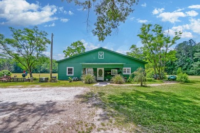 28.27 acres in Summerville! Set on 28.27 acres across three - photo 35