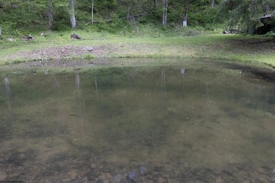 Serene Country Getaway Near Teter Lake. Escape to peace and - photo 39