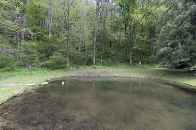 Serene Country Getaway Near Teter Lake. Escape to peace and - photo 40