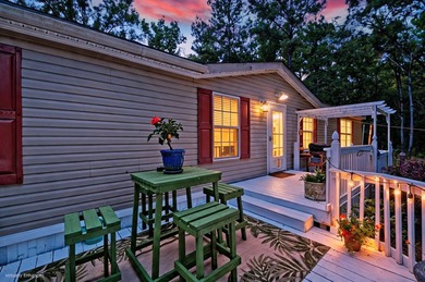 28.27 acres in Summerville! Set on 28.27 acres across three - photo 41