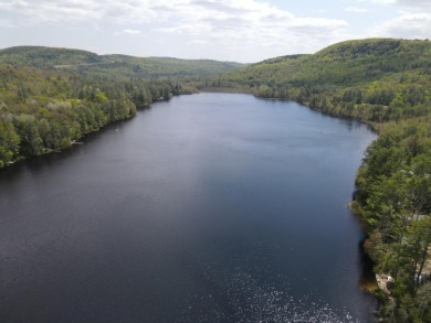(private lake, pond, creek) Lot For Sale in Grantham New Hampshire