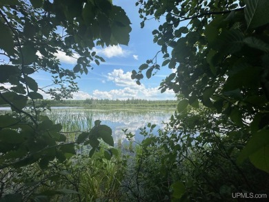 Lake Lot For Sale in Iron River, Michigan