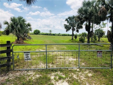 Lake Acreage For Sale in North Fort Myers, Florida