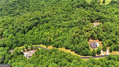 Escape to the beauty of the North Georgia Mountains with this - photo 11