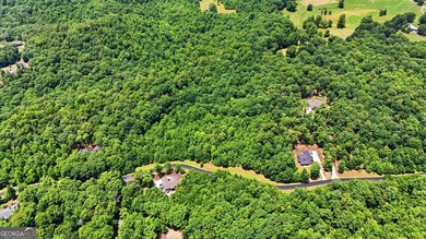 Escape to the beauty of the North Georgia Mountains with this - photo 12