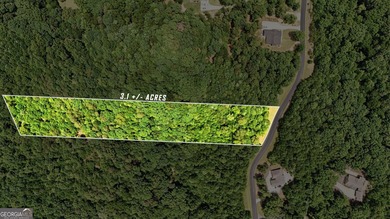 Escape to the beauty of the North Georgia Mountains with this - photo 13