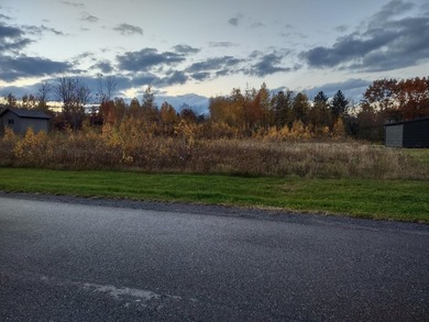Magnifique terrain constructible de 47 631 pi2 (4 426 m2) - photo 15