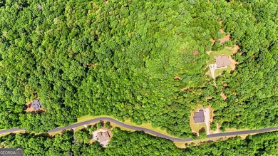 Escape to the beauty of the North Georgia Mountains with this - photo 15