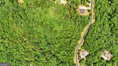 Escape to the beauty of the North Georgia Mountains with this - photo 16