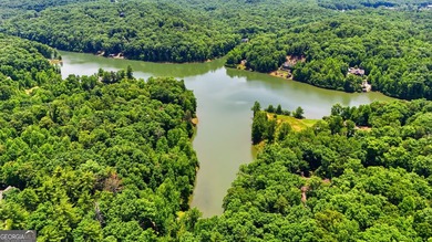 Escape to the beauty of the North Georgia Mountains with this - photo 18