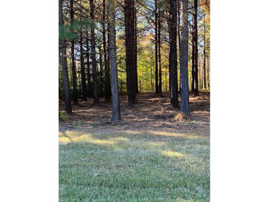Beautiful one acre lot on the peaceful Middleton Creek. Property - photo 5