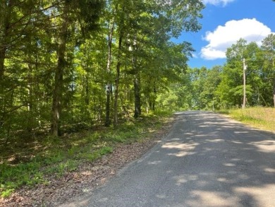 Pickwick Lake Lot For Sale in Savannah Tennessee