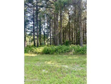 Wooded, Residential CORNER Building lot located in the gated - photo 7