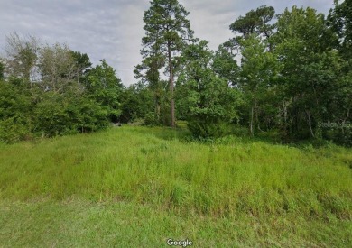 Lake Lot For Sale in Oviedo, Florida