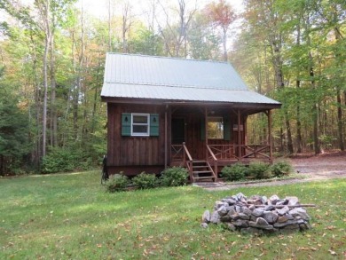 Lake Acreage For Sale in Lyons Falls, New York