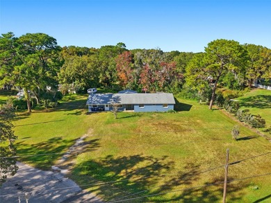 Lake Home For Sale in Land O Lakes, Florida