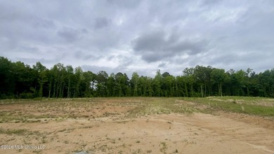 Prime 16.82+/- acre commercial property located in the rapidly - photo 1