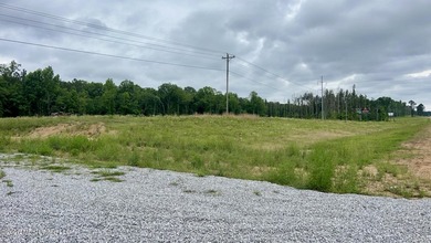 Prime 16.82+/- acre commercial property located in the rapidly - photo 3