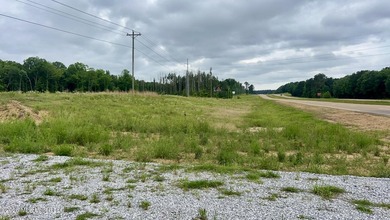 Prime 16.82+/- acre commercial property located in the rapidly - photo 4