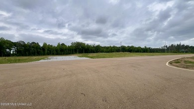Prime 16.82+/- acre commercial property located in the rapidly - photo 5