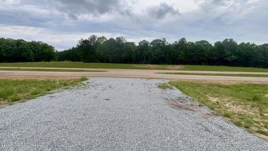 Prime 16.82+/- acre commercial property located in the rapidly - photo 6