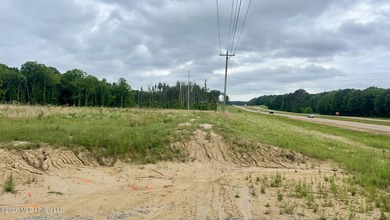 Prime 16.82+/- acre commercial property located in the rapidly - photo 7