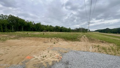 Prime 16.82+/- acre commercial property located in the rapidly - photo 8