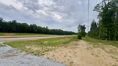 Prime 16.82+/- acre commercial property located in the rapidly - photo 9