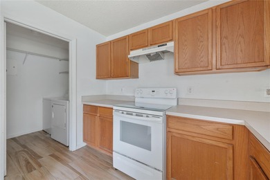 Welcome to 115 Walnut Crest Run, a spacious, sun-drenched - photo 8