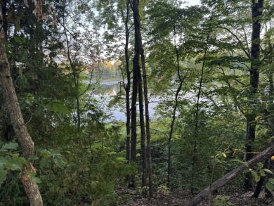 (private lake, pond, creek) Lot Sale Pending in Rothbury Michigan