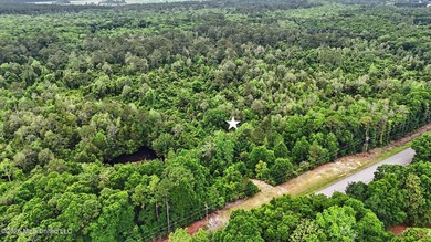 Just over 4 acres ready for you to make it your - photo 2