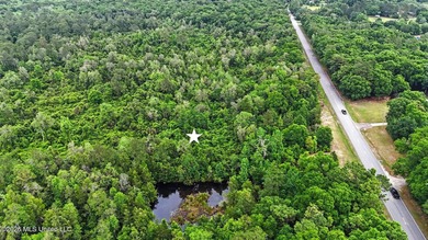 Just over 4 acres ready for you to make it your - photo 3
