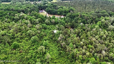 Just over 4 acres ready for you to make it your - photo 5