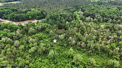 Just over 4 acres ready for you to make it your - photo 6
