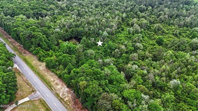 Just over 4 acres ready for you to make it your - photo 8