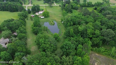 If you are looking for land to build your dream home, look no - photo 7