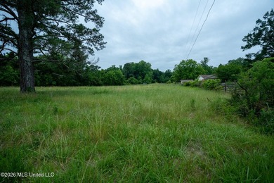 If you are looking for land to build your dream home, look no - photo 10