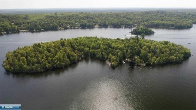 Lake Home For Sale in Cook, Minnesota