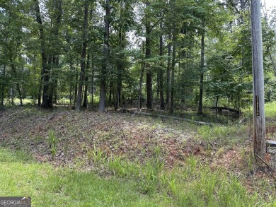 Lake Lot For Sale in Sparta, Georgia