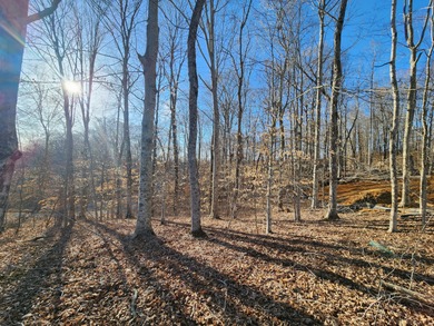 Magnificent View of Wolf River Dock and Dale Hollow Lake. Joins - photo 11