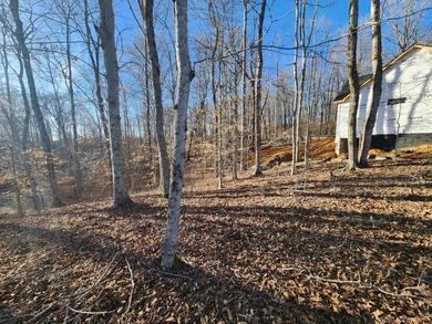 Magnificent View of Wolf River Dock and Dale Hollow Lake. Joins - photo 14