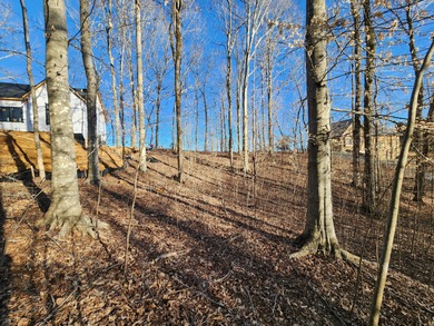 Magnificent View of Wolf River Dock and Dale Hollow Lake. Joins - photo 19