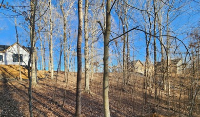 Magnificent View of Wolf River Dock and Dale Hollow Lake. Joins - photo 20