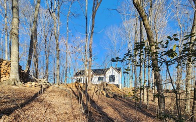 Magnificent View of Wolf River Dock and Dale Hollow Lake. Joins - photo 21